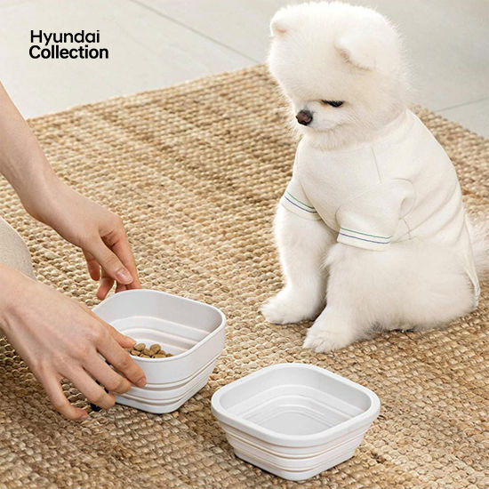 Hyundai Collection ペット用シリコンミールボックス-ヒュンダイ ジャパン オンラインショップ